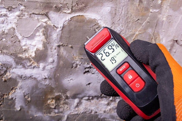 Best Crawl Space Mold Removal  in Huntsville, AL