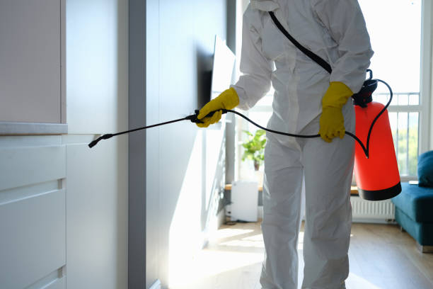 Huntsville, AL Mold Removal Company