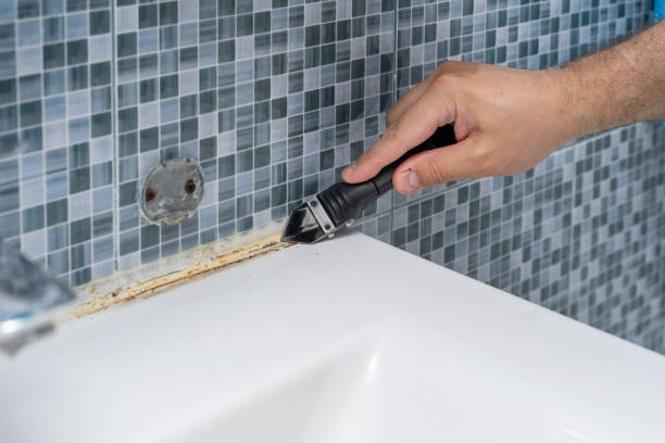 Best Black Mold Removal  in Huntsville, AL