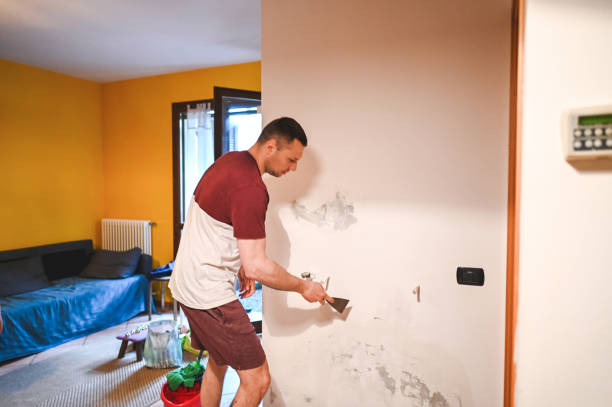 Mold Removal Process in Huntsville, AL
